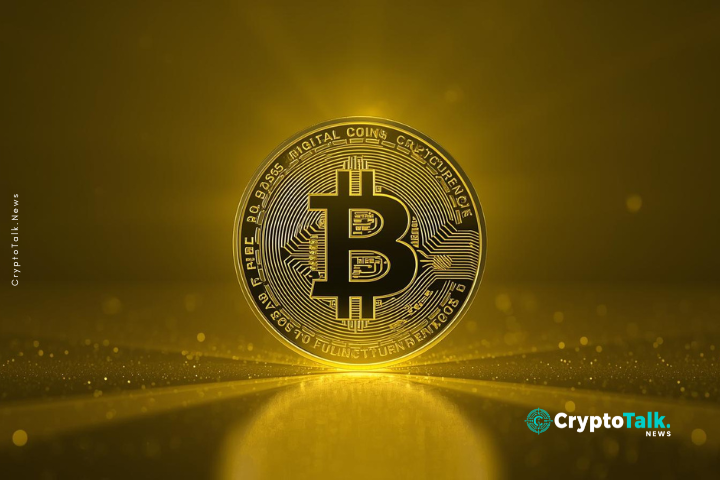 Bitcoin Dips Below November Lows Amid Weak Demand